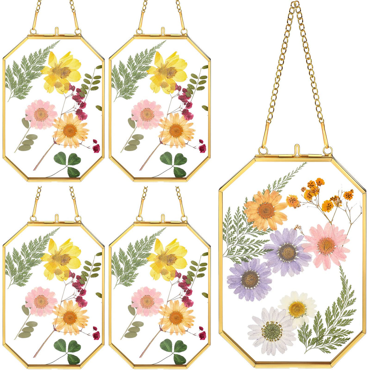 Treela 4x6 glass pressed flower frame set showcases natural beauty for home display.
