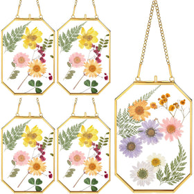 Treela 4x6 glass pressed flower frame set showcases natural beauty for home display.