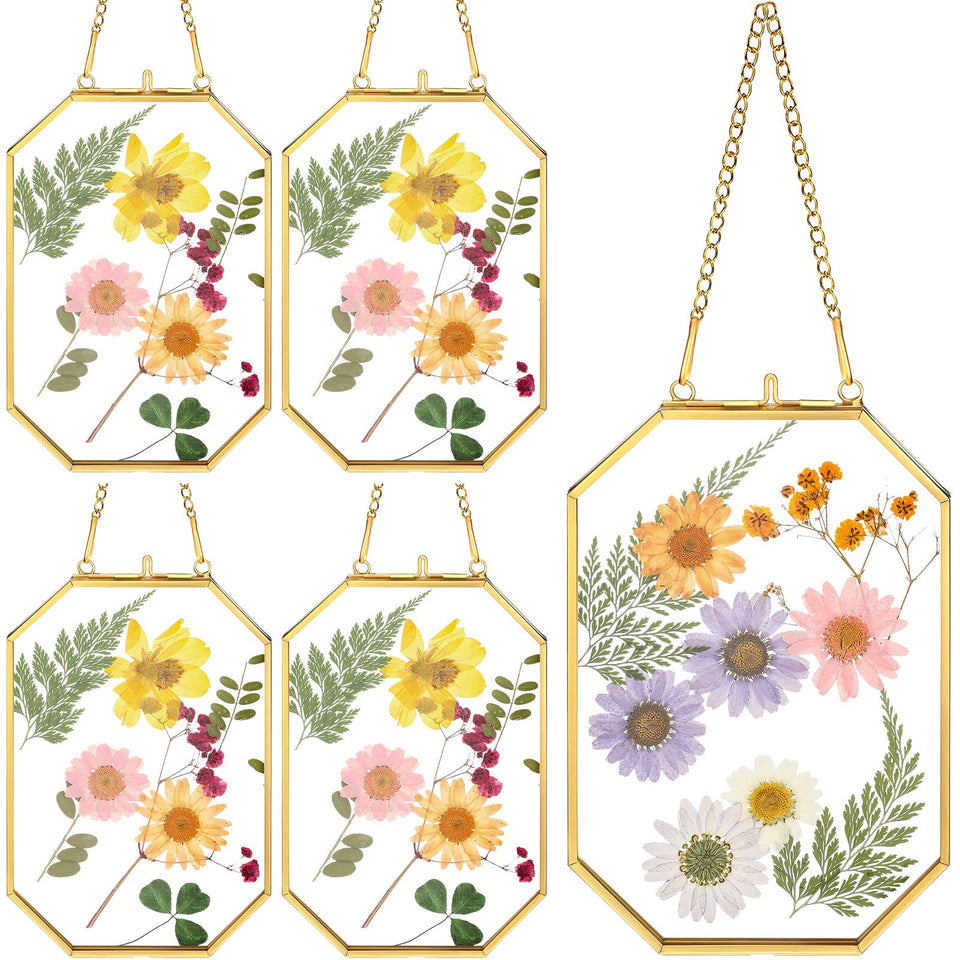 Treela 4x6 glass pressed flower frame set showcases natural beauty for home display.