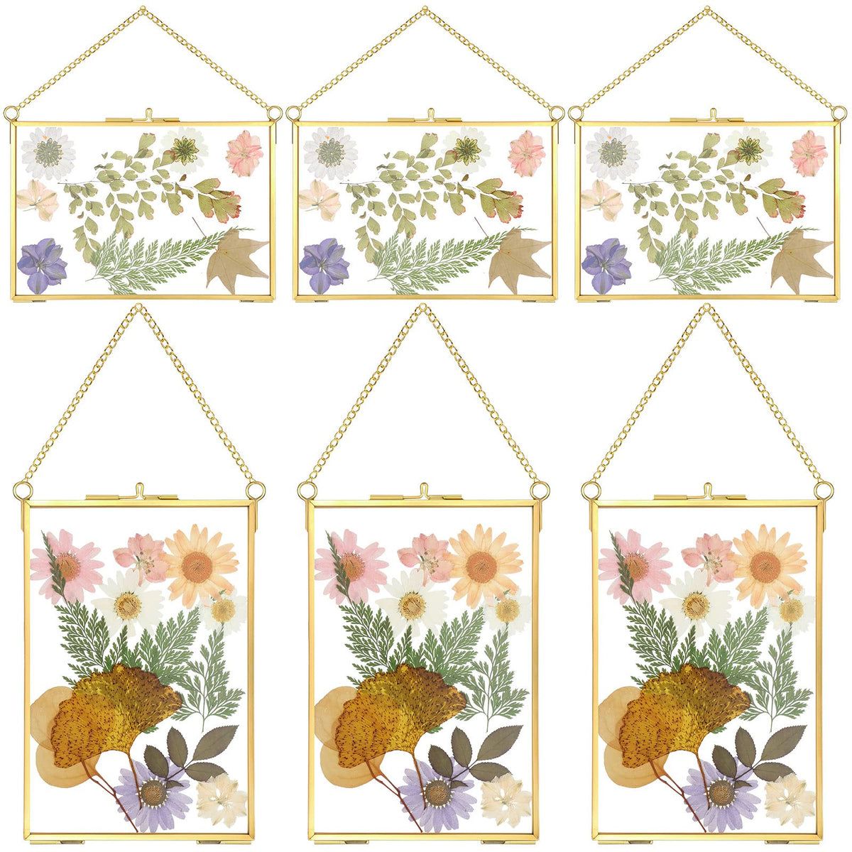 Treela 6x4 pressed flower frame, horizontal gold double-glass for photos.