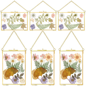 Treela 6x4 pressed flower frame, horizontal gold double-glass for photos.