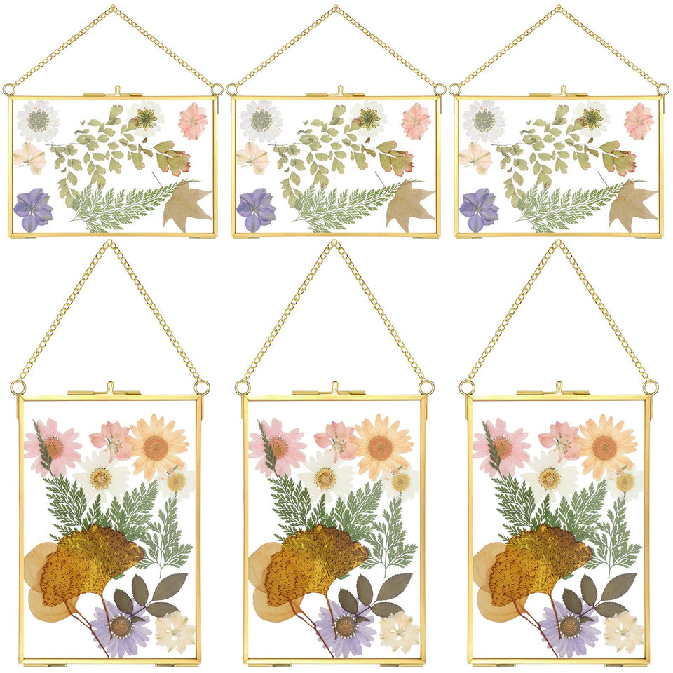 Treela 6x4 pressed flower frame, horizontal gold double-glass for photos.