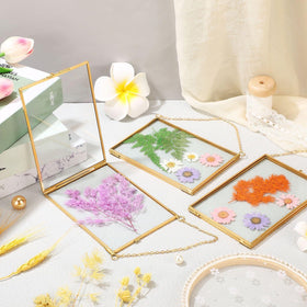 Treela gallery-ready frame set for photos and pressed botanicals.