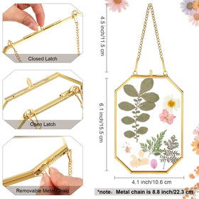 Treela octagon brass frame in gold enhances wall decor with elegant hanging flair.