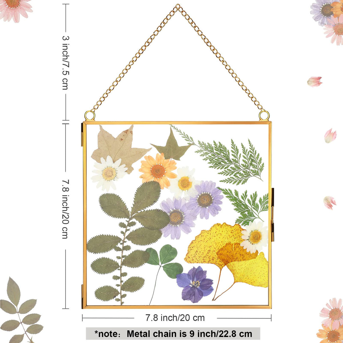 Treela square glass frame with metal chain adds elegant, light-catching display.