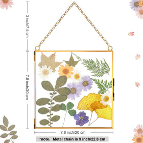 Treela square glass frame with metal chain adds elegant, light-catching display.