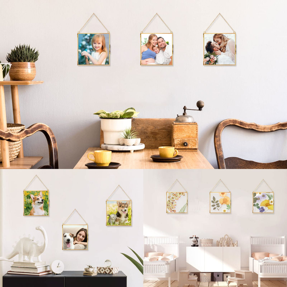 Treela versatile display for photos, dried flowers, or posters.
