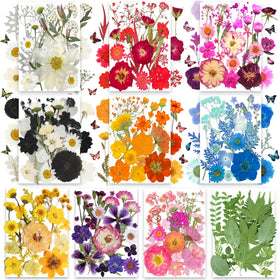 TrendCart 301Pcs dried pressed flowers and leaves in mixed colors for crafts.