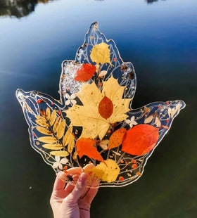 TrendCart pressed flowers set features 10 color varieties for resin and scrapbooking.