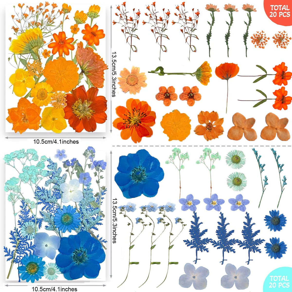 TrendCart resin crafting-ready petals ideal for epoxy and jewelry projects.