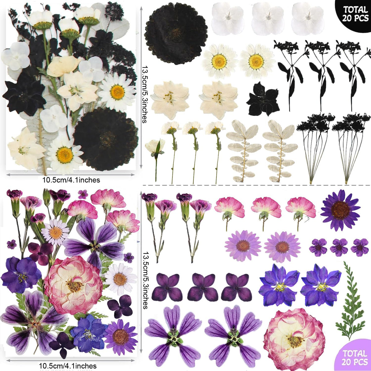 TrendCart scrapbooking and photo frame decor with natural pressed petals.