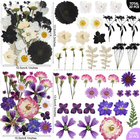 TrendCart scrapbooking and photo frame decor with natural pressed petals.