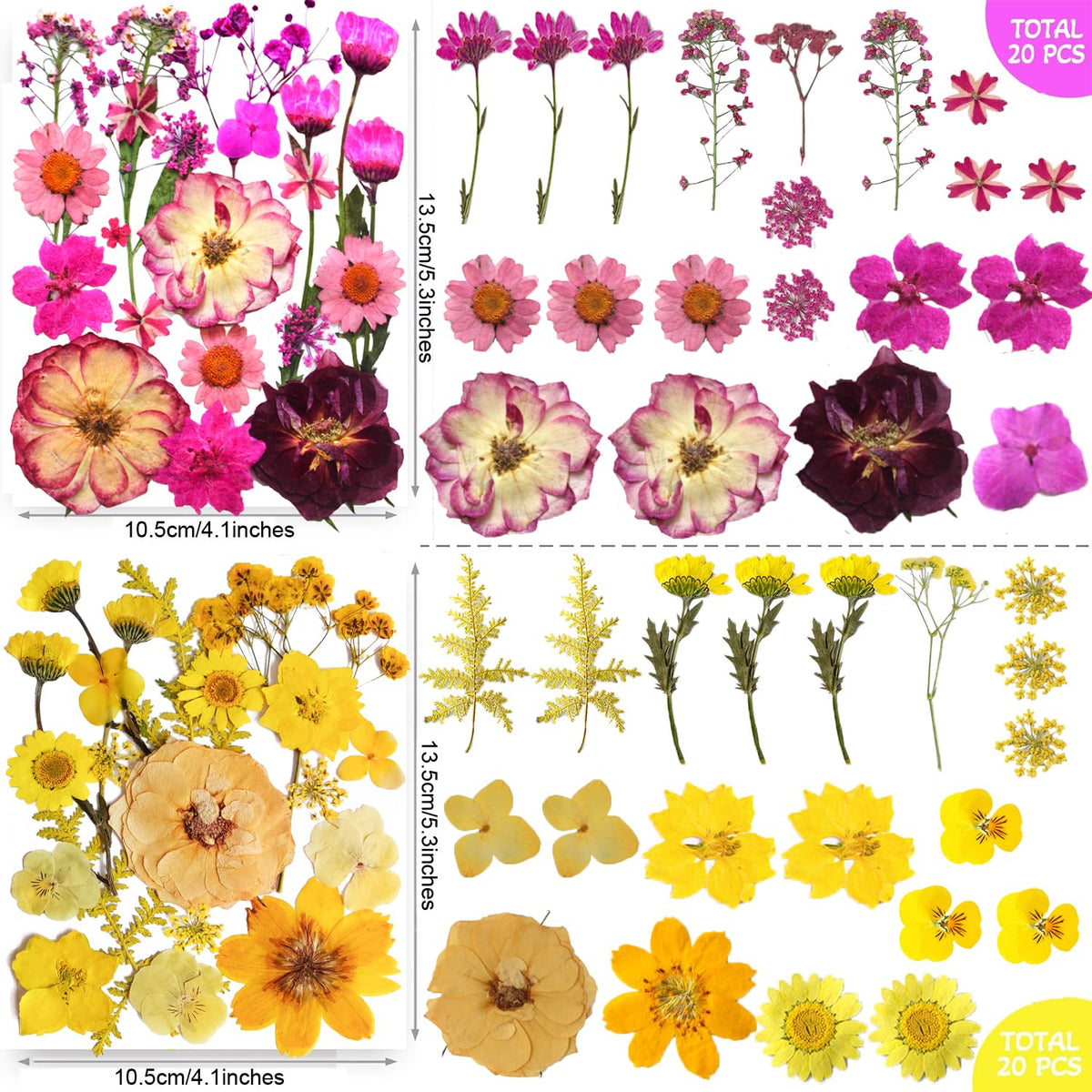 TrendCart vacuum-packaged flowers preserve color and shape during shipping.