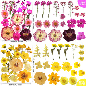 TrendCart vacuum-packaged flowers preserve color and shape during shipping.