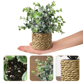Treory 9-inch height topiary in UV-resistant pot ideal for indoor or outdoor spaces.