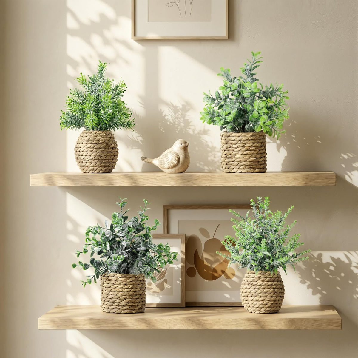 Treory farmhouse-boho decor with plant arrangement suitable for living room and dining area.