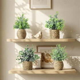 Treory farmhouse-boho decor with plant arrangement suitable for living room and dining area.