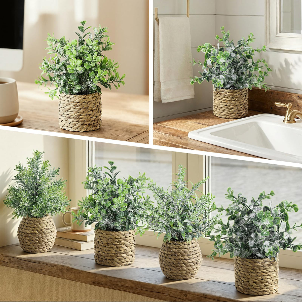 Treory artificial plant gift-pack ideal for housewarmings or weddings without upkeep.