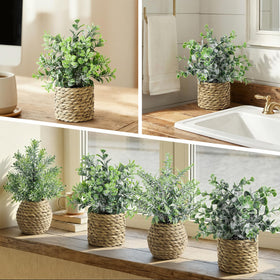 Treory artificial plant gift-pack ideal for housewarmings or weddings without upkeep.