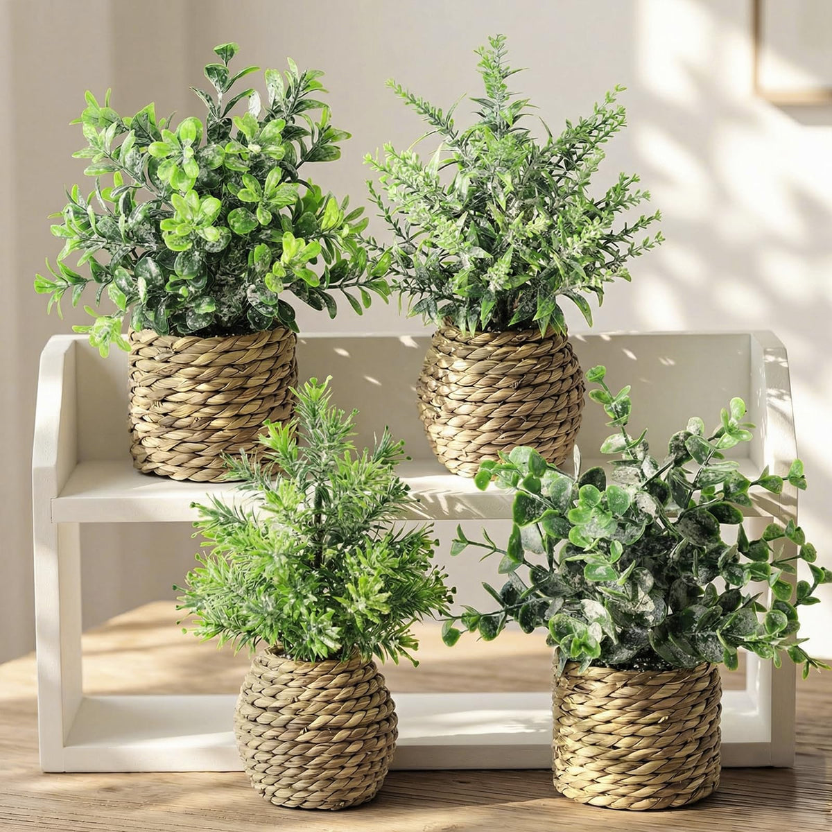 Treory neutral-tone plant on shelf demonstrates versatile decor for table or desk.