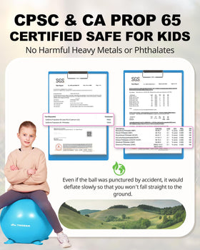 Trideer family time with balance balls promotes healthy play and bonding.