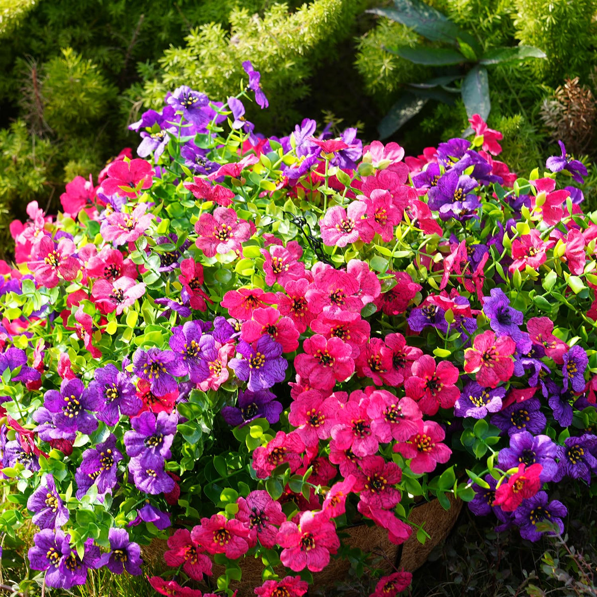 Trytuny multi-color flowers in yellow, purple and rosy pink for vibrant space.