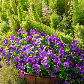trytuny purple artificial flowers for garden display stay vibrant across seasons