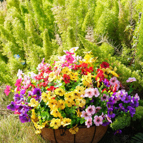 trytuny bundle artificial flowers for garden red 20 adds seasonal color.