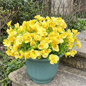 Trytuny faux plants for porch; weatherproof yellow blooms ideal for patio planters.