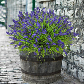 trytuny outdoor faux lavender blooms stay vibrant without watering or sunlight