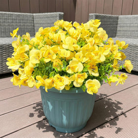 Trytuny lifelike yellow blooms that resist fading in sun for longer displays.