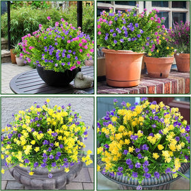 trytuny outdoor decor by front door shows all-season lavender bloom