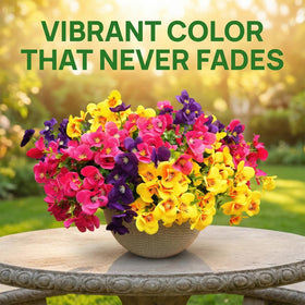 Trytuny outdoor-porch-decor flowers brighten steps and patios