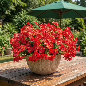trytuny ready-to-use flowers red bundle instant decor in minutes