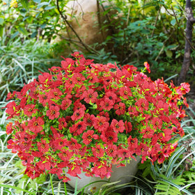 trytuny realistic artificial flowers for window boxes in red to boost curb appeal.