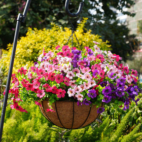trytuny outdoor decor blooms in rosy pink resist sun fading for lasting curb appeal