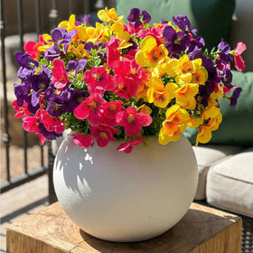Trytuny twelve-bundle set arrives ready to beautify any space