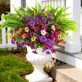 TSTWETO arrangements ideal for window boxes and planters.