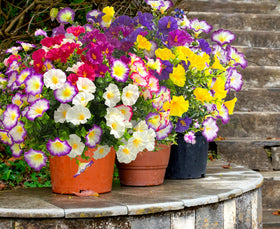 TSTWETO fake azalea flowers with UV protection stay vibrant in sunlit spaces
