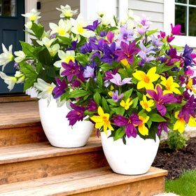 TSTWETO no-fade outdoor azalea flowers stay fresh year-round.