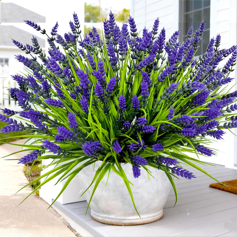 TSTWETO outdoor lavender bundle for vibrant year round color in exterior spaces.