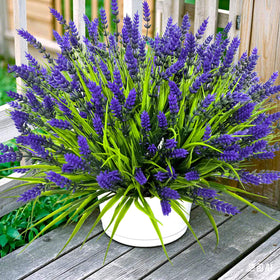 TSTWETO lavender bundle close up showing UV resistant leaves.