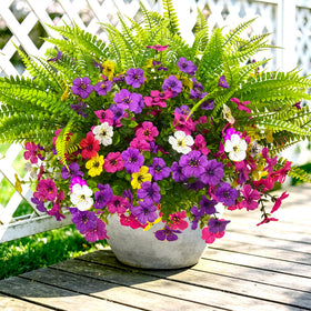TSTWETO versatile decor for porches, patios, and balconies.