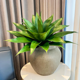 Ttranewsoo fall decor agave—seasonal centerpiece for entrances and patios.