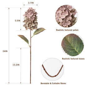 Ttranewsoo Hydrangea brown flower head close-up highlights 3.7 inch bloom size