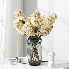 Ttranewsoo Hydrangea cream-white petal close-up showing soft texture
