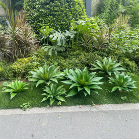 Ttranewsoo packaging-ready agave—unbox, adjust branches, display in minutes.