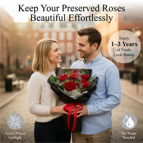 TUCCI FLORAL preserved roses six blooms maintain vibrant color for years
