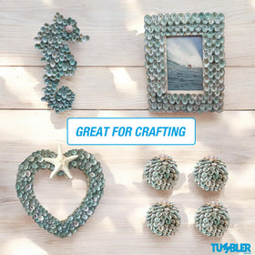Green limpet shells from Tumbler Home add natural texture to centerpieces.