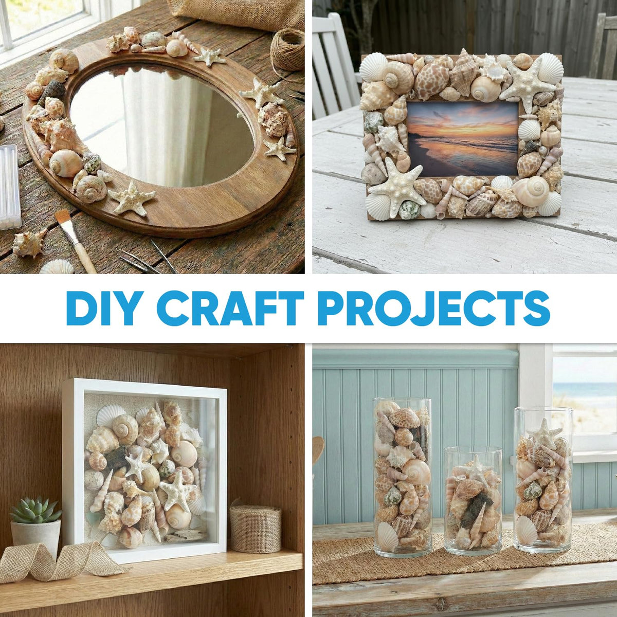 Tumbler Home seashell mix adds texture to classroom displays and DIY crafts.